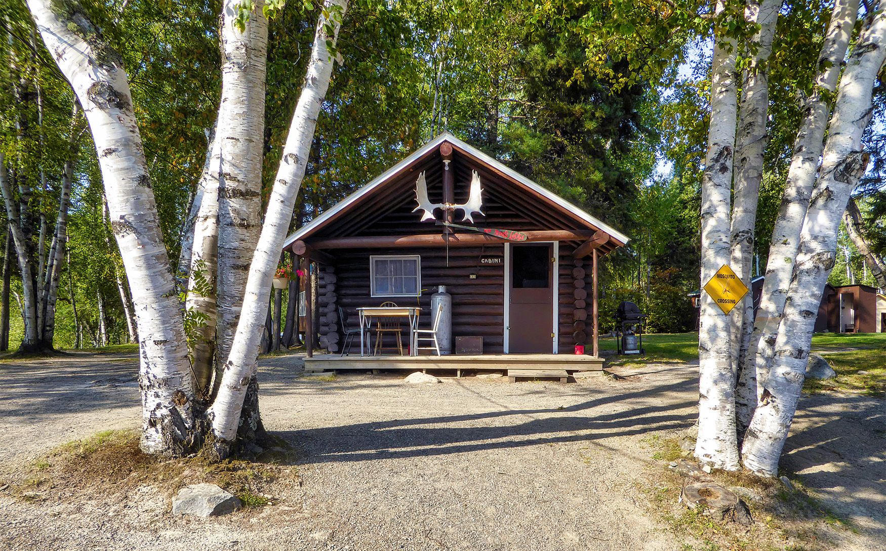 moose lodge at bluffy lake