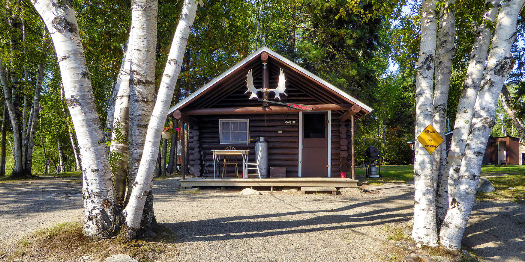 moose lodge at bluffy lake